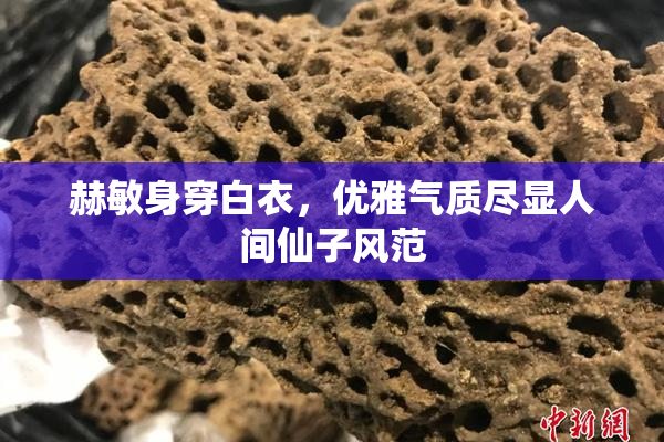 赫敏身穿白衣，优雅气质尽显人间仙子风范