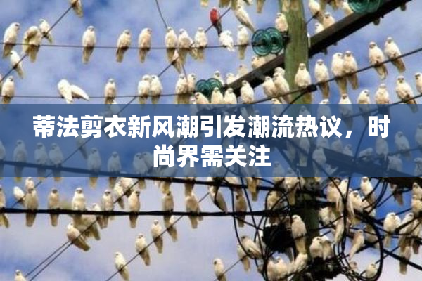 蒂法剪衣新风潮引发潮流热议，时尚界需关注