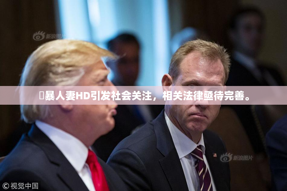 強暴人妻HD引发社会关注，相关法律亟待完善。