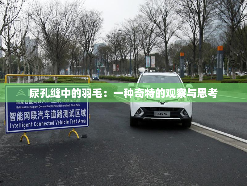 尿孔缝中的羽毛：一种奇特的观察与思考