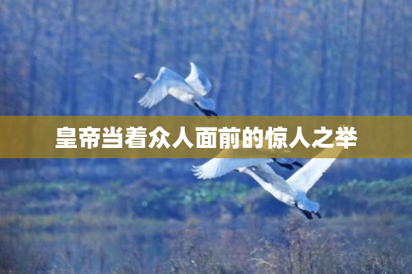 皇帝当着众人面前的惊人之举