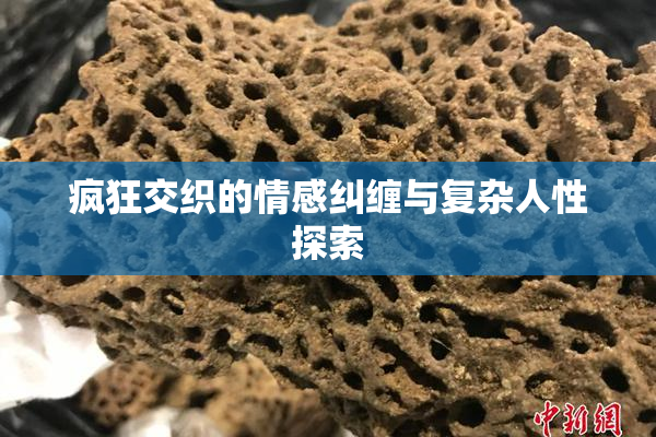 疯狂交织的情感纠缠与复杂人性探索