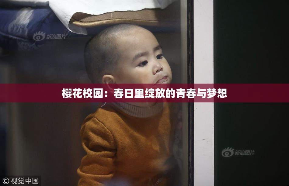 樱花校园：春日里绽放的青春与梦想
