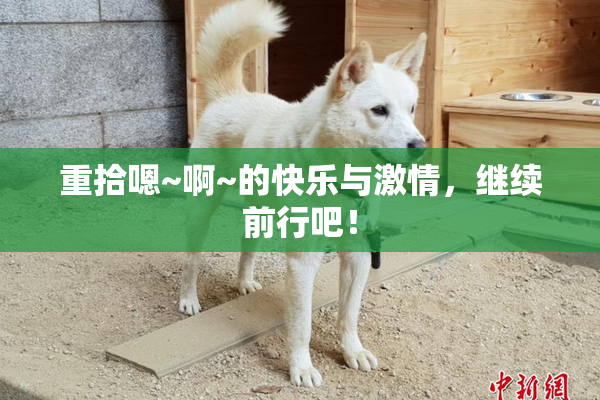 重拾嗯~啊~的快乐与激情，继续前行吧！