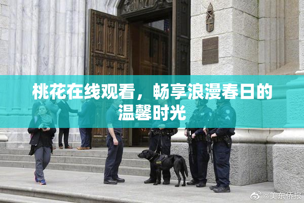 桃花在线观看，畅享浪漫春日的温馨时光