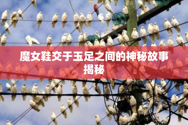 魔女鞋交于玉足之间的神秘故事揭秘