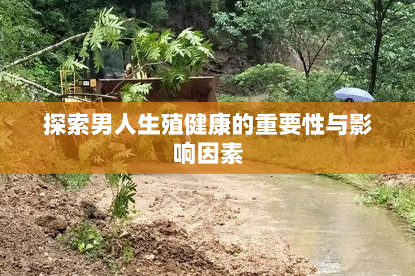 探索男人生殖健康的重要性与影响因素