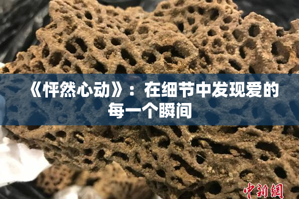 《怦然心动》：在细节中发现爱的每一个瞬间
