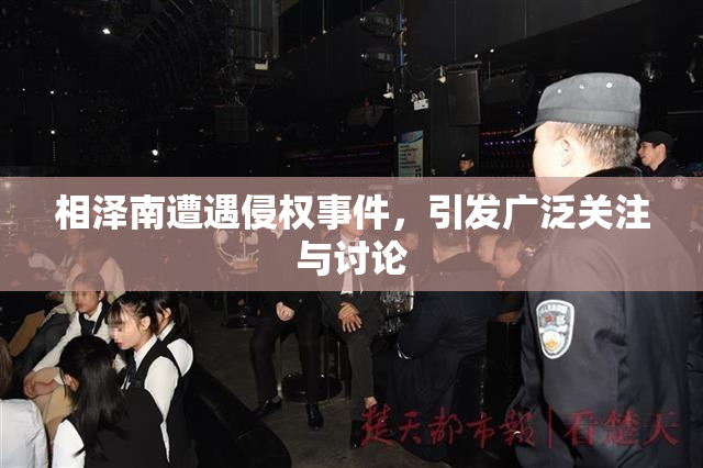 相泽南遭遇侵权事件，引发广泛关注与讨论
