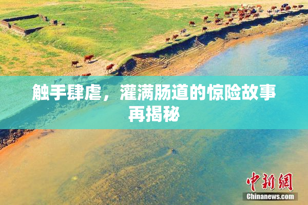 触手肆虐，灌满肠道的惊险故事再揭秘