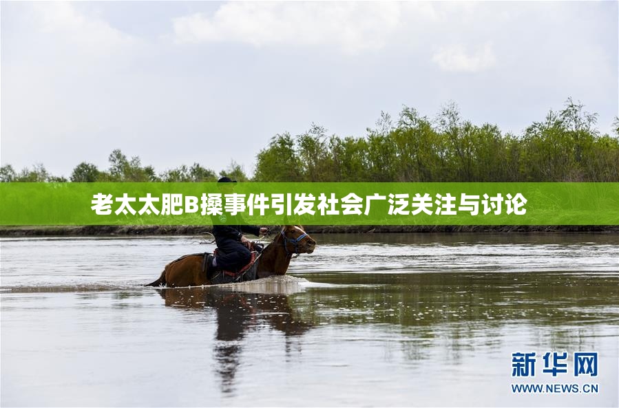 老太太肥B搡事件引发社会广泛关注与讨论