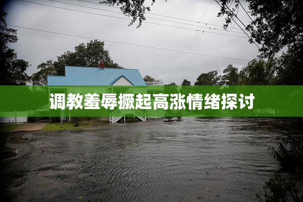 调教羞辱撅起高涨情绪探讨
