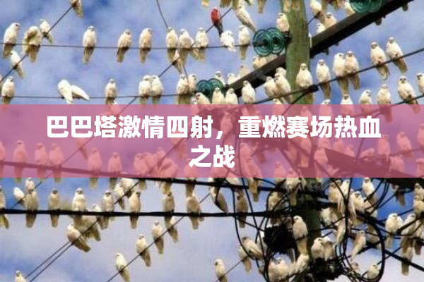 巴巴塔激情四射，重燃赛场热血之战
