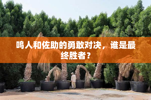 鸣人和佐助的勇敢对决，谁是最终胜者？