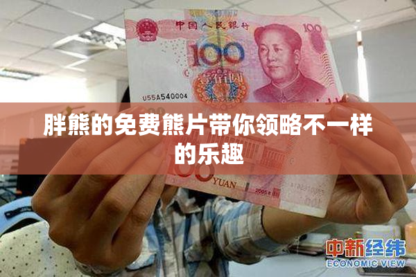 胖熊的免费熊片带你领略不一样的乐趣
