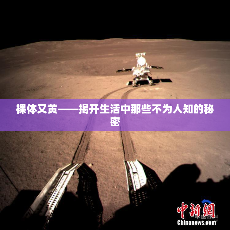 裸体又黄——揭开生活中那些不为人知的秘密