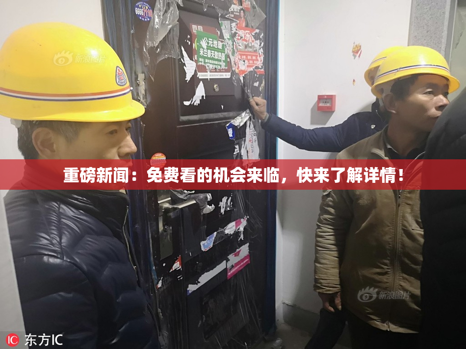 重磅新闻：免费看的机会来临，快来了解详情！