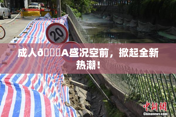 成人🔞A盛况空前，掀起全新热潮！