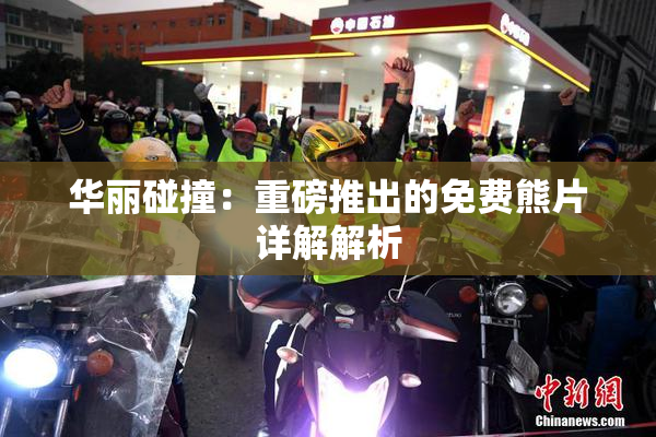 华丽碰撞：重磅推出的免费熊片详解解析