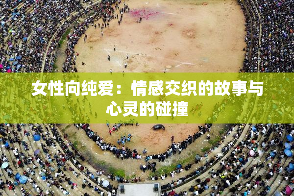 女性向纯爱：情感交织的故事与心灵的碰撞