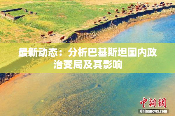 最新动态：分析巴基斯坦国内政治变局及其影响