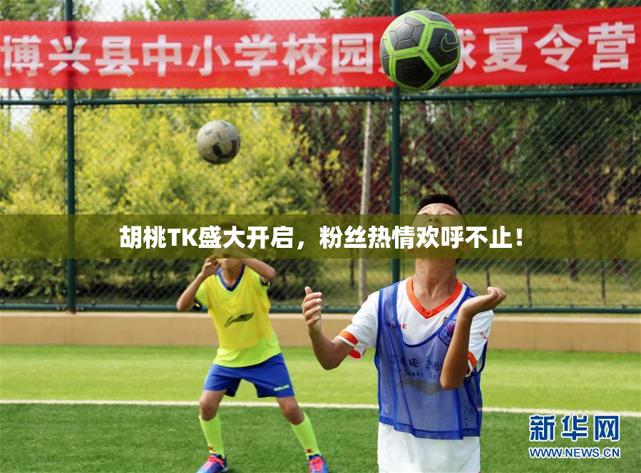 胡桃TK盛大开启，粉丝热情欢呼不止！