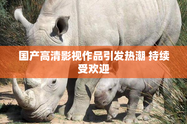 国产高清影视作品引发热潮 持续受欢迎