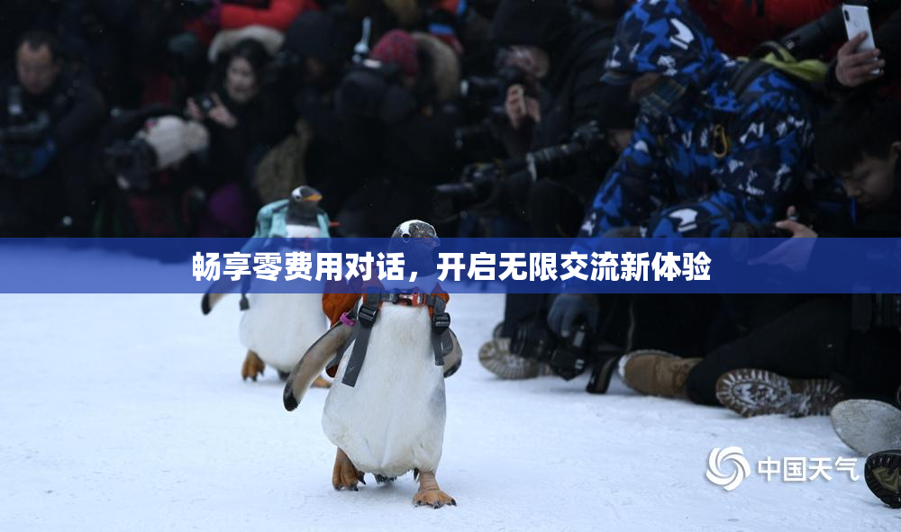 畅享零费用对话，开启无限交流新体验