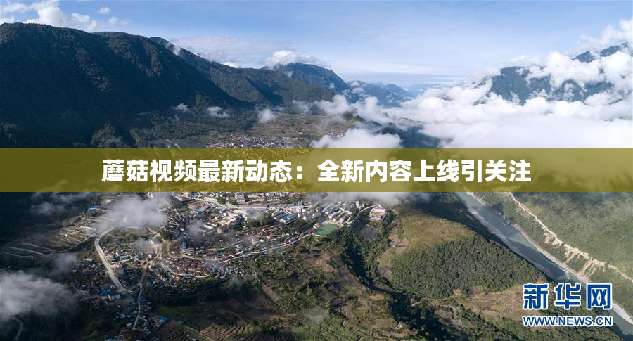 蘑菇视频最新动态：全新内容上线引关注