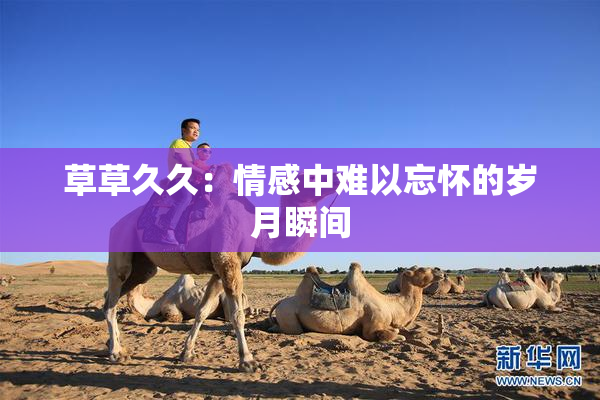 草草久久：情感中难以忘怀的岁月瞬间