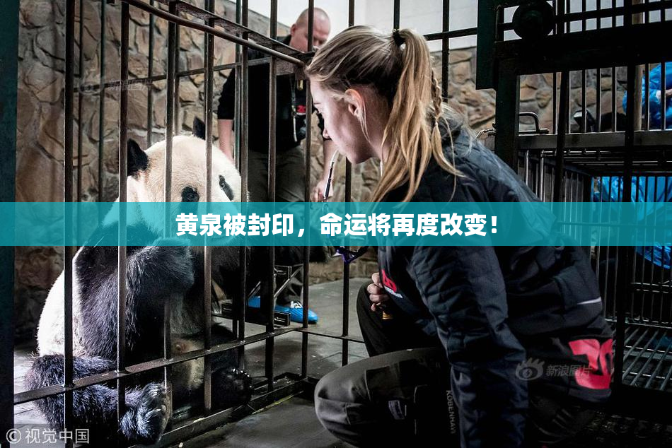 黄泉被封印，命运将再度改变！