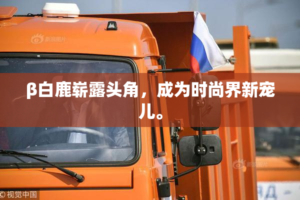 β白鹿崭露头角，成为时尚界新宠儿。