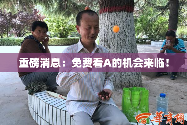 重磅消息：免费看A的机会来临！