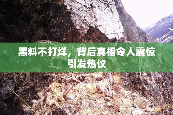 黑料不打烊，背后真相令人震惊引发热议
