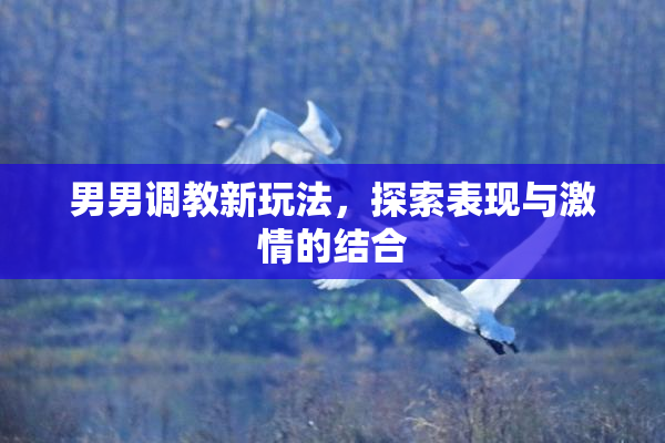男男调教新玩法，探索表现与激情的结合