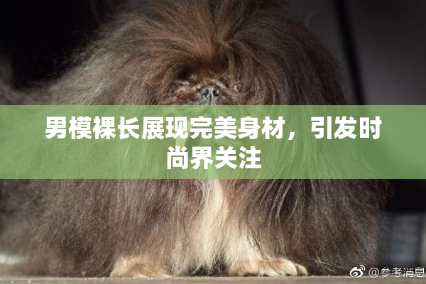 男模裸长展现完美身材，引发时尚界关注