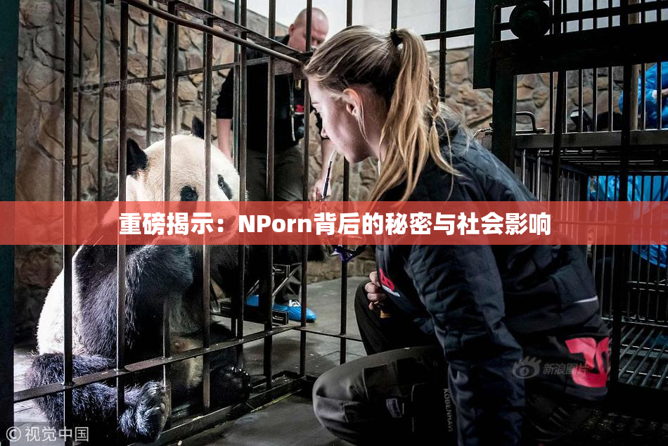 重磅揭示：ΝPorn背后的秘密与社会影响