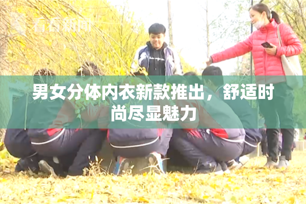 男女分体内衣新款推出，舒适时尚尽显魅力