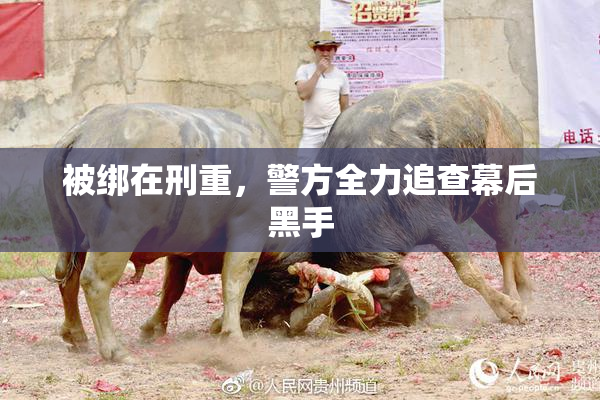 被绑在刑重，警方全力追查幕后黑手
