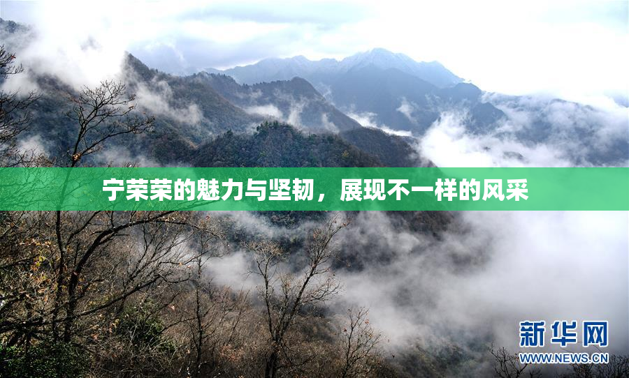 宁荣荣的魅力与坚韧，展现不一样的风采