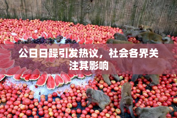 公日日躁引发热议，社会各界关注其影响
