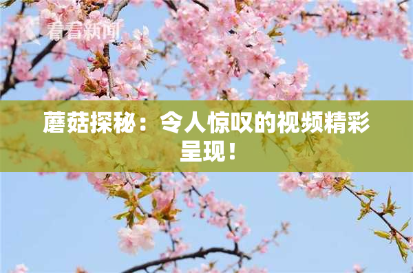 蘑菇探秘：令人惊叹的视频精彩呈现！