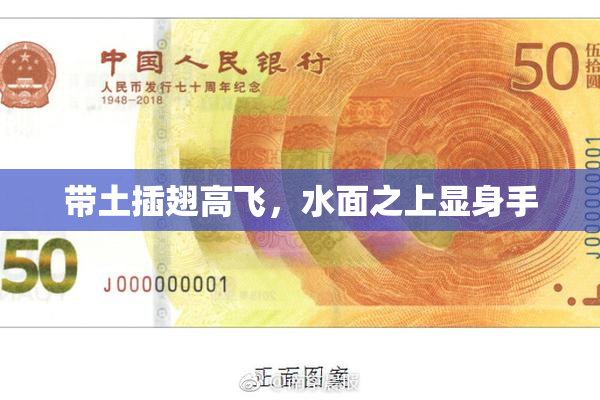 带土插翅高飞，水面之上显身手