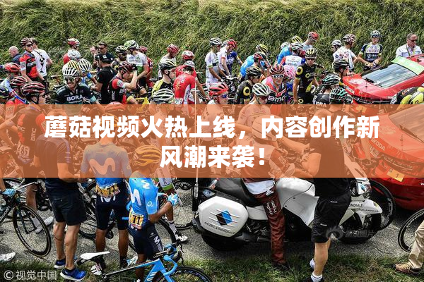 蘑菇视频火热上线，内容创作新风潮来袭！