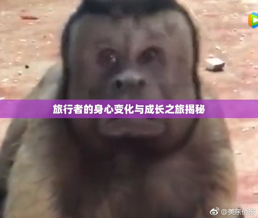 旅行者的身心变化与成长之旅揭秘
