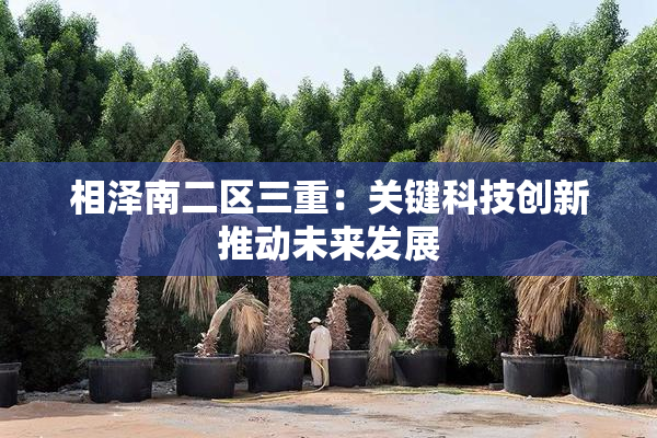 相泽南二区三重：关键科技创新推动未来发展