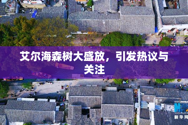 艾尔海森树大盛放，引发热议与关注
