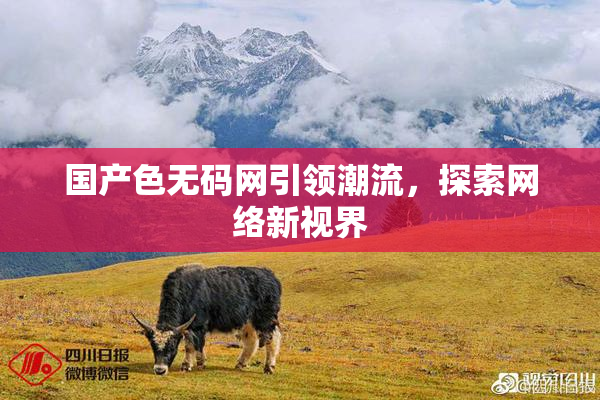 国产色无码网引领潮流，探索网络新视界