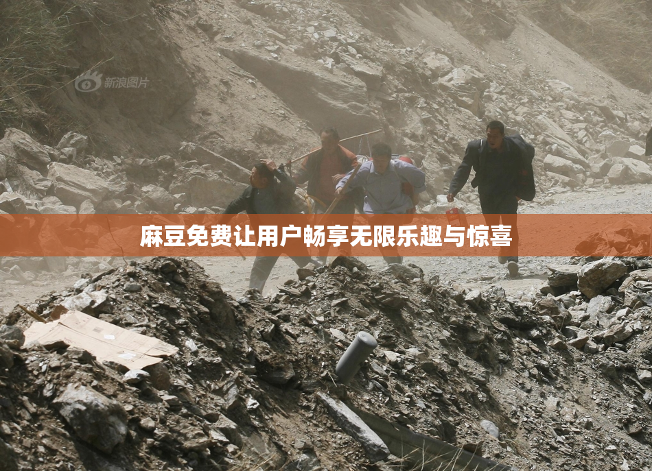 麻豆免费让用户畅享无限乐趣与惊喜