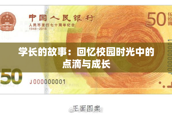 学长的故事：回忆校园时光中的点滴与成长